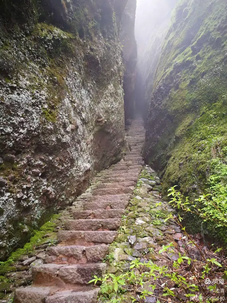 江山如画……仙霞仙境